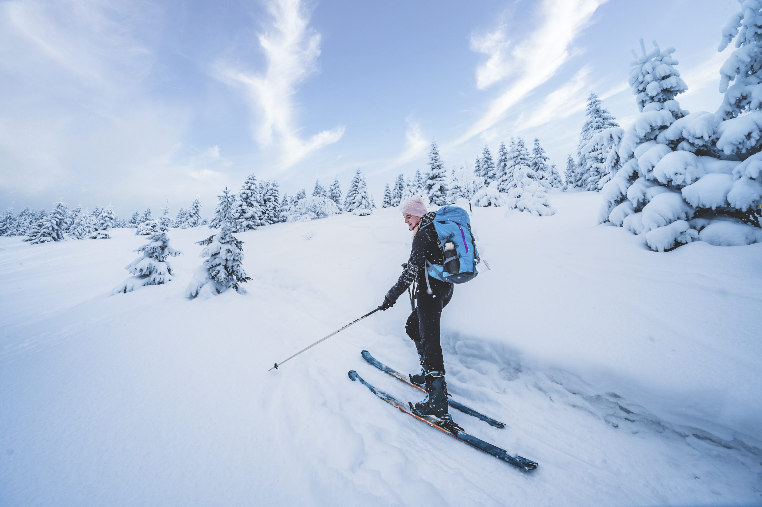 image header - image en-tete