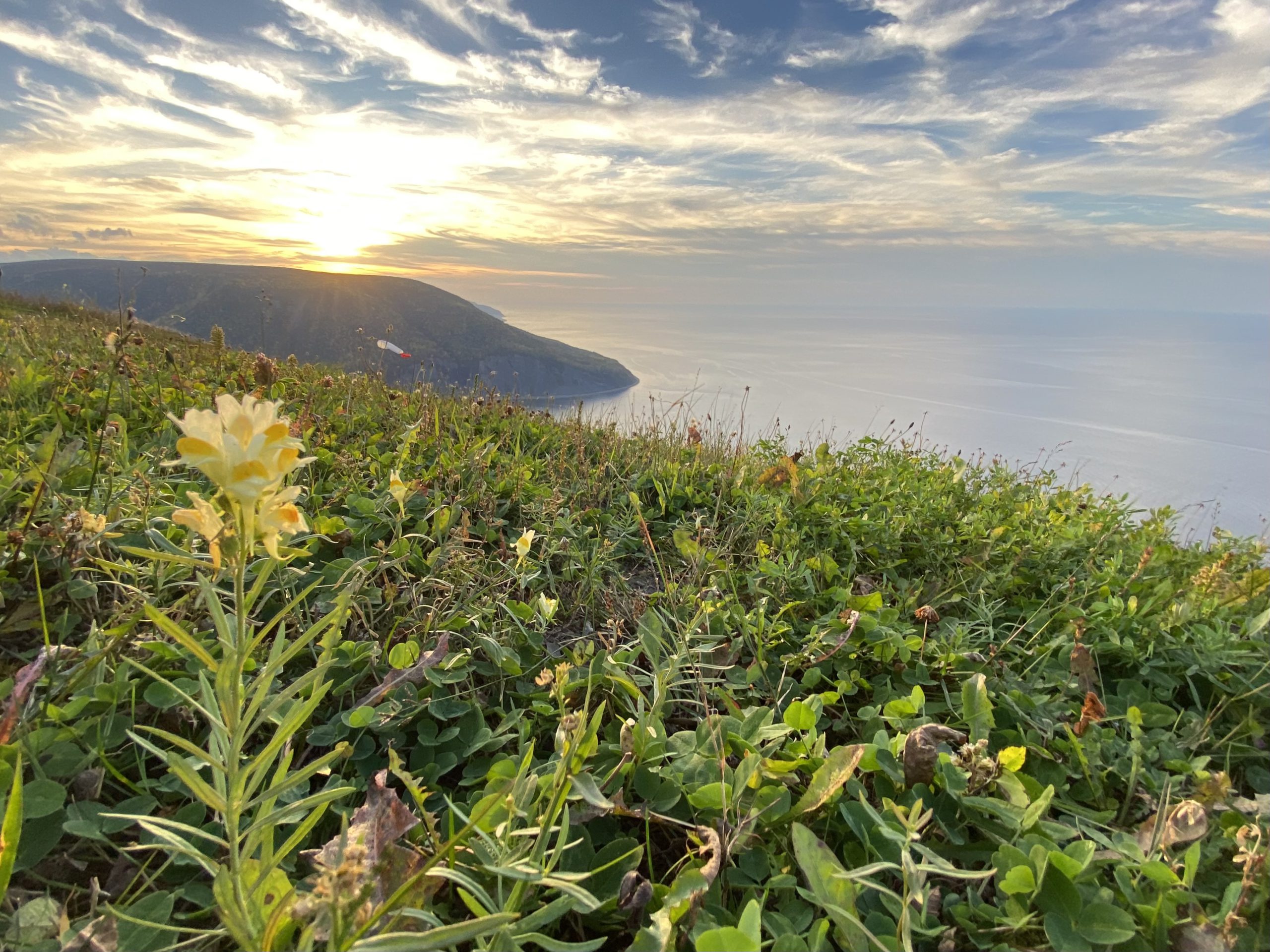 image header - image en-tete