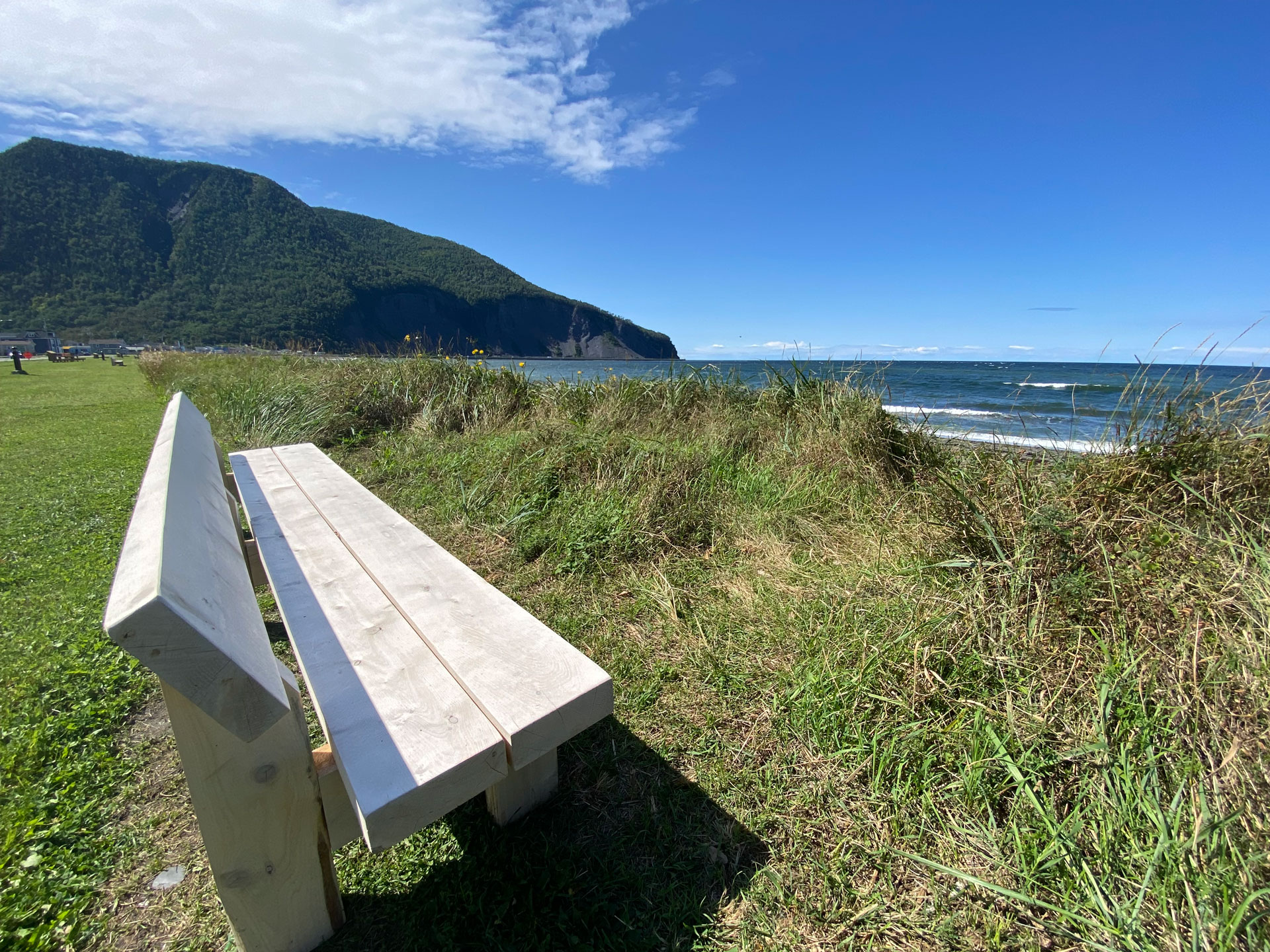 image header - image en-tete